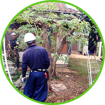 会社概要はこちら